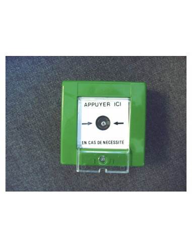 Bris de glace vert 1XNO/NF CAME 001FR0167
