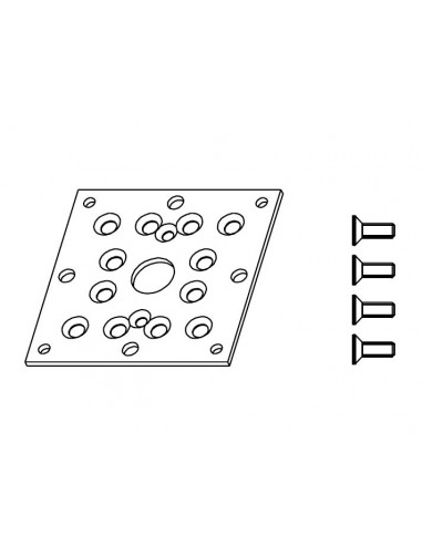 Plaque multitrou pour MOM5 et MO6 CAME 001YM0111