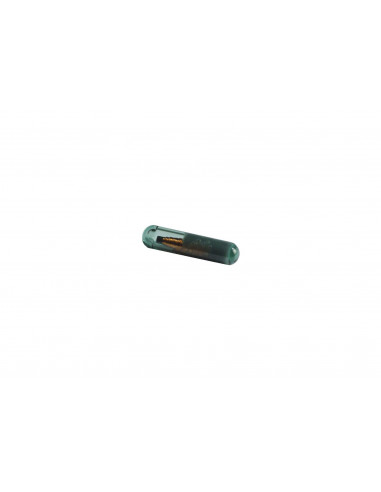 Bulbe transpondeur en verre pour TSP01 CAME 009TAG
