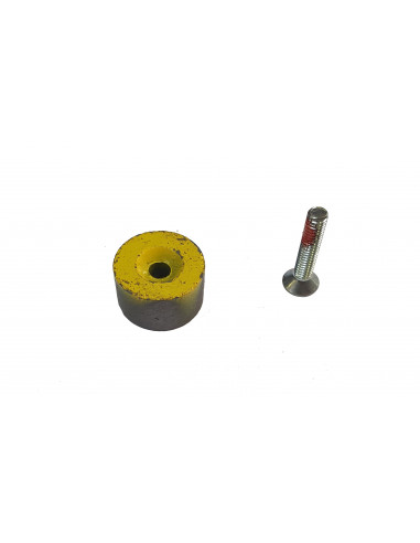Aimant pour encodeur - FROG CAME 119RIA083