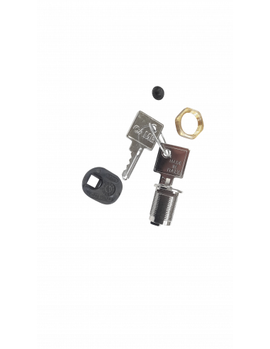 Cylindre serrure - BX-243 CAME 119RIBX042
