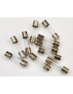 Cond. 10 fusibles de 3,15A 5x20 CAME 119RIR161