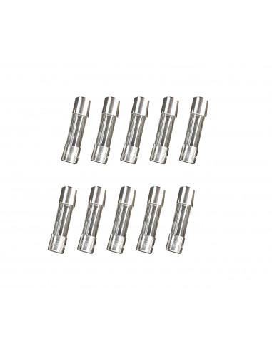 Cond. 10 fusibles de 315MA 5x20 CAME 119RIR162