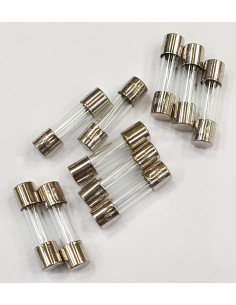 Conditionnement 10 fusibles rapides de 5A 5x20 CAME 119RIR163