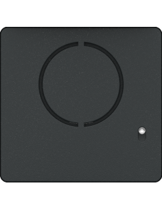 Façade pour module audio Lite sans boutons CAME 60020630