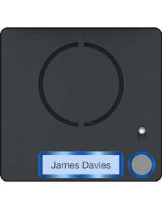 Façade pour module audio Lite avec bouton simple CAME 60020640