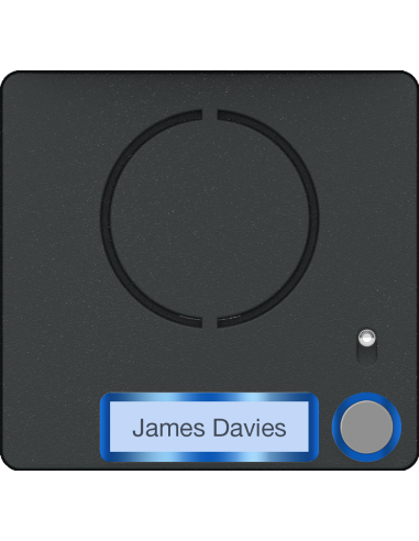 Façade pour module audio Lite avec bouton simple CAME 60020640