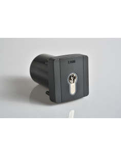Sélecteur à clé à encastrer et cylindre DIN CAME 806SL-0100