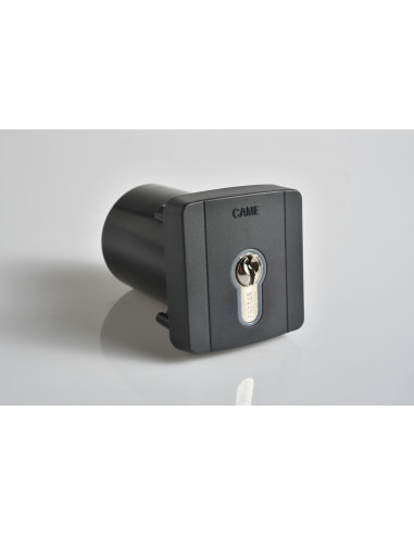 Sélecteur à clé à encastrer et cylindre DIN CAME 806SL-0100