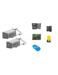 Kit FERNI 4m 24V avec encodeur CAME 8K01MB-017