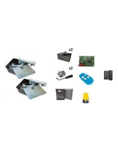 Kit enterré FROG 3.5m 24V 2 moteurs ZLXS CAME 8K01MI-006