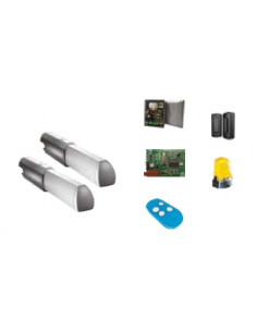 Kit Worm Drive ATI 3m 24V 2 moteurs irréversibles ZLXM CAME 8K01MP-035
