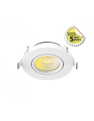 ECLAT CCT II SPOT ORIENT 60° 6W 2700/3000/4000 IP65 DIM 5ANSMIIDEX VISION-EL100268