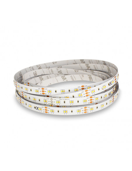 BANDEAU BLC DIM 5M 120LED 9,6W/M IP20 24V BOITE 5ANS MIIDEX VISION-EL 751775