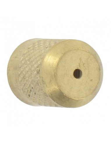 BUSES / LAN CHAUFFE-EAU LAITON PULSEN CAP VERT NOZZLE / BRASS LANCE