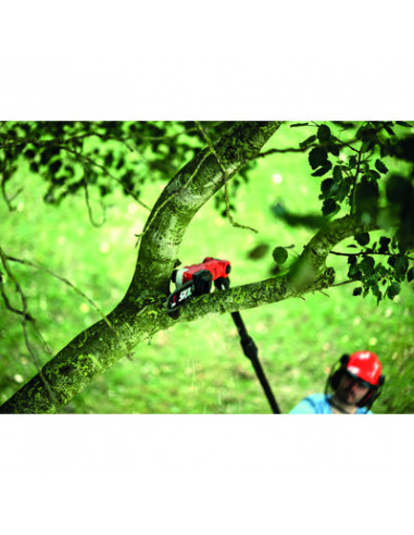 ELAGUEUSE SUR PERCHE 20V SKIL GV1E0650CA