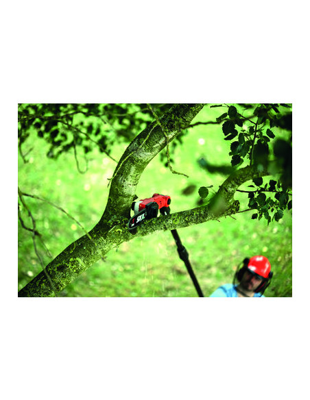 ELAGUEUSE SUR PERCHE 20V SKIL GV1E0650CA