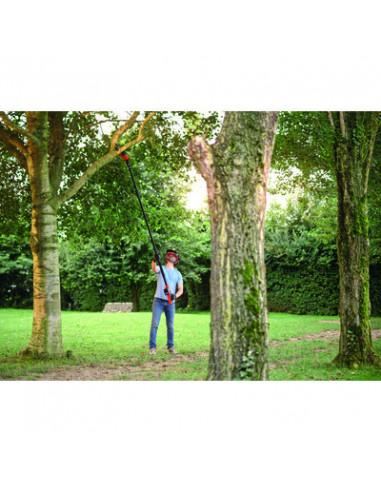 ELAGUEUSE SUR PERCHE 20V SKIL GV1E0650CA