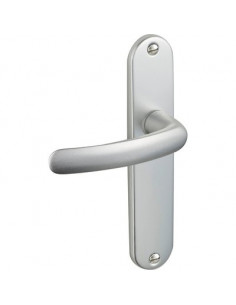ENS BUDGET 195 ARGENT CLE BDC VACHETTE 204855