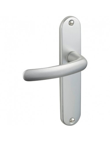 ENS BUDGET 195 ARGENT CLE BDC VACHETTE 204855