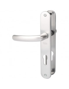 Poignée de porte Budget Gris argent 195 mm Clé I VACHETTE 4069/6318 AG I