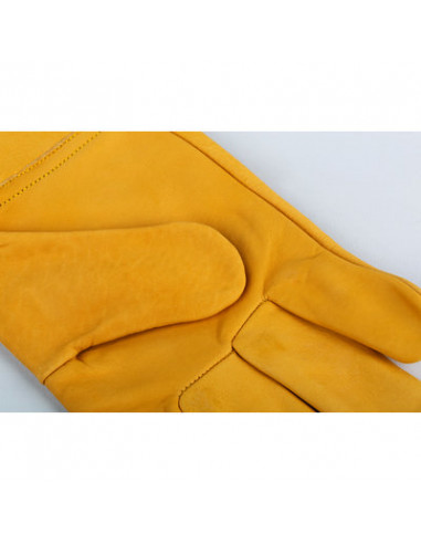 GANT FLEUR BOVIN HYDROFUGE 9 DELTA PLUS CBHV209