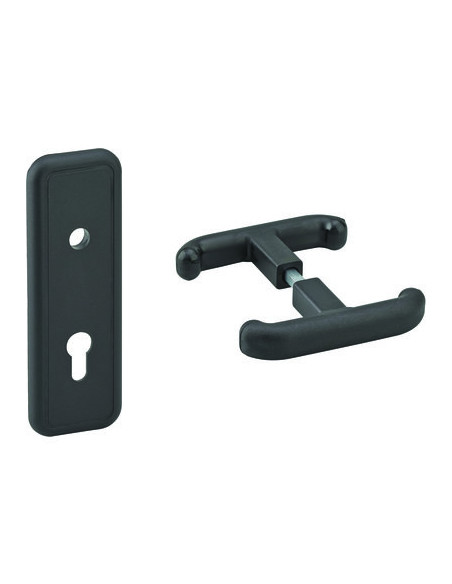 POIGNEE + PLAQUE PROPRETE C8 THIRARD 00000433