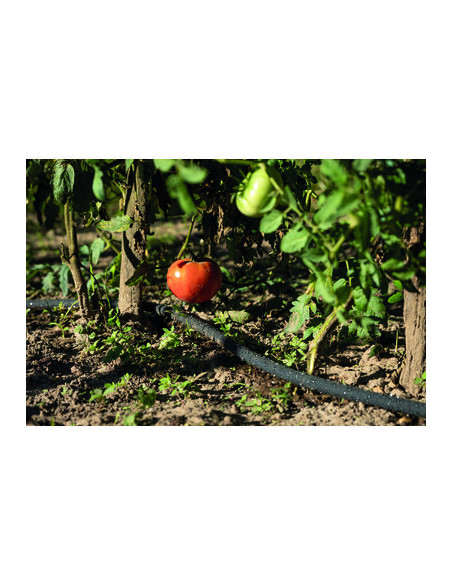 TUYAU MICRO PEARL D12.5 L.15M CAP VERT 95400.30515.02553