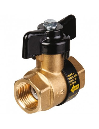 VANNE CLAPET ANTI-RE 26X34 4MS SFERACO 323006
