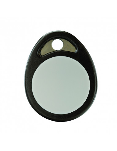 Badge RFID BRFID Tyxal+ DELTA DORE 6413224