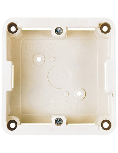 Cadre saillie 100x100 L'EBENOID 025508