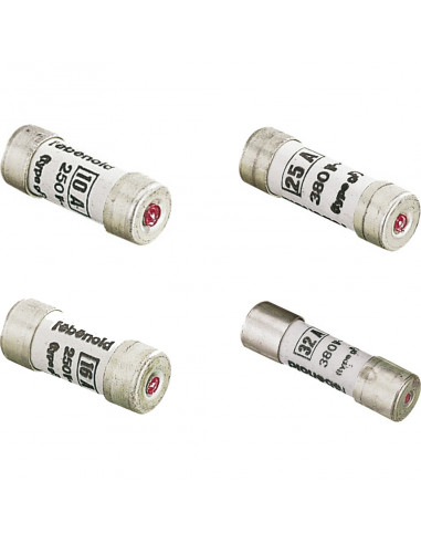 Fusible gG 10x38 10A voyant L'EBENOID 061110