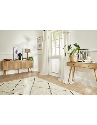 Beladoo nativ -radiateur plinthe 1000W anthracite INTUIS M153423