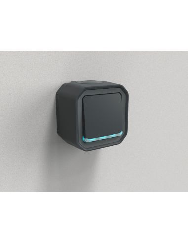 Interrupteur ou va-et-vient témoin 10AX 250V Plexo complet saillie anthracite LEGRAND 069721L
