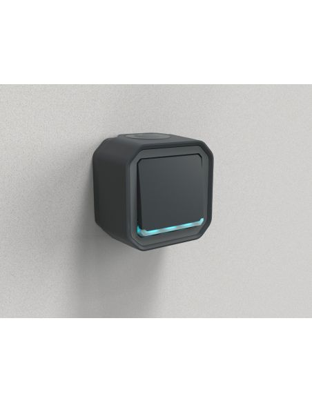 Interrupteur ou va-et-vient témoin 10AX 250V Plexo complet saillie anthracite LEGRAND 069721L