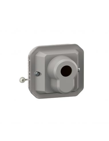 Poussoir à clé accès sécurisé 3 positions Plexo composable gris LEGRAND 069705L