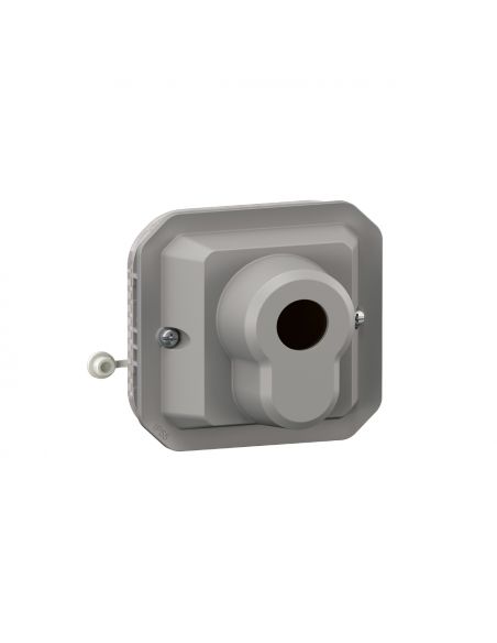 Poussoir à clé accès sécurisé 3 positions Plexo composable gris LEGRAND 069705L