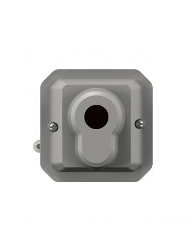 Poussoir à clé accès sécurisé 3 positions Plexo composable gris LEGRAND 069705L