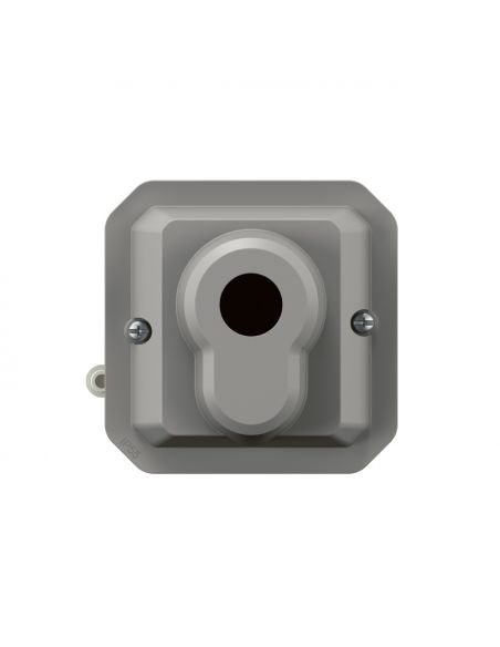 Poussoir à clé accès sécurisé 3 positions Plexo composable gris LEGRAND 069705L