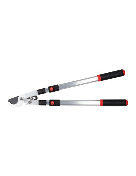 BRANCHE ALU TELESC DEMUL FRANC CAP VERT RG 3128