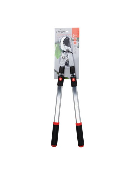 BRANCHE ALU TELESC DEMUL FRANC CAP VERT RG 3128