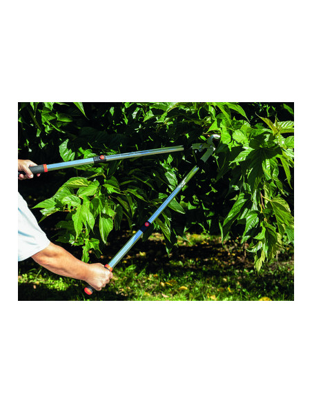 BRANCHE ALU TELESC DEMUL FRANC CAP VERT RG 3128