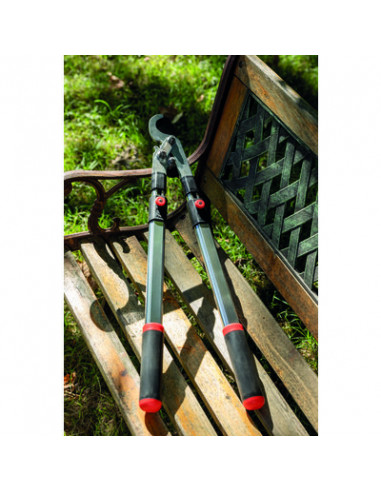 BRANCHE ALU TELESC DEMUL FRANC CAP VERT RG 3128