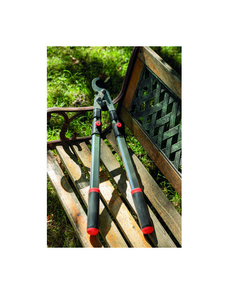 BRANCHE ALU TELESC DEMUL FRANC CAP VERT RG 3128