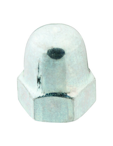 ECROU BORGN DIN 1587 AC ZG D10 VISWOOD 158710