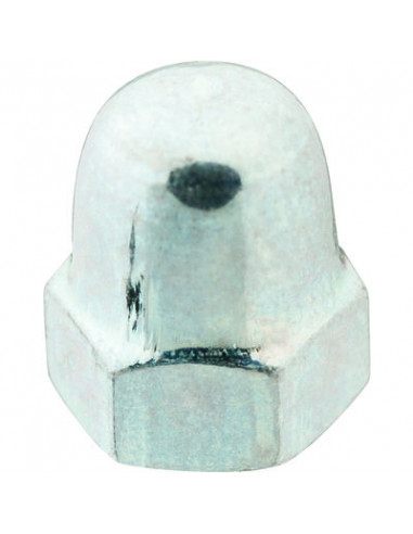 ECROU BORGN DIN 1587 AC ZG D10 VISWOOD 158710