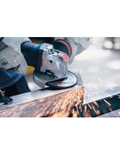 XLOCK DISQUE METAL 125X6X22,23 BOSCH 2.608.619.259 2