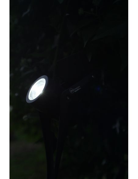 Spot 70lm 365 PREMIUM WATT & HOME 401325