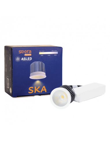SKA Module LED 7 W SEERA ASLED SKA7WSEE