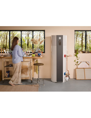 THERMODYNAMIQUE AÉROMAX 6 STABLE 200L THERMOR 286053